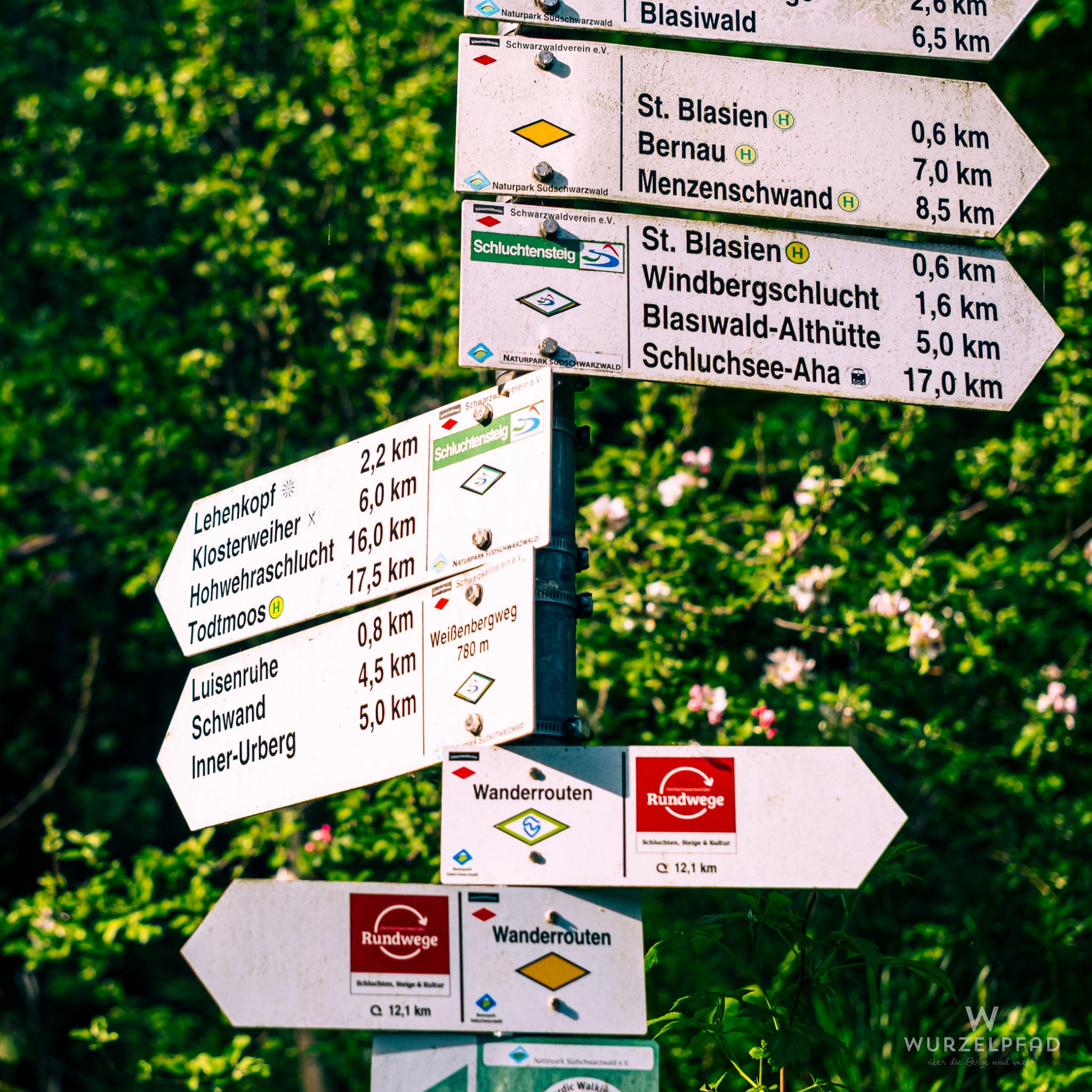 Links geht's lang nach Todtmoos